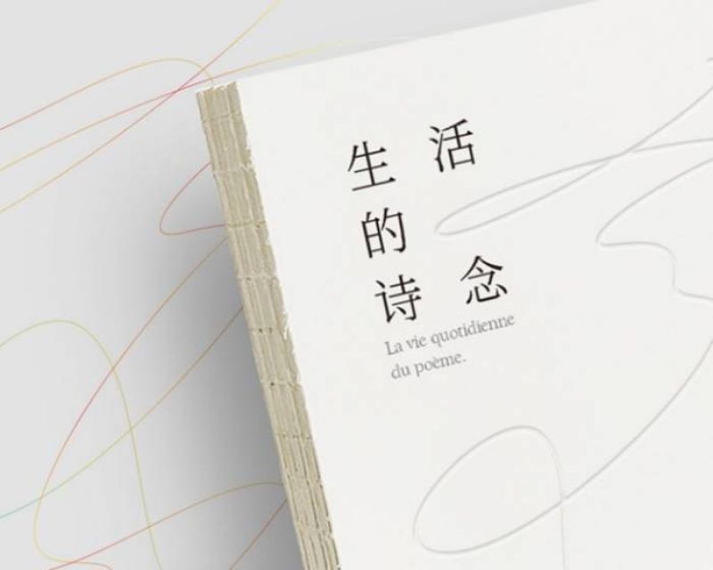 绥中最新疫情，时代背景下的抗疫历程与进展