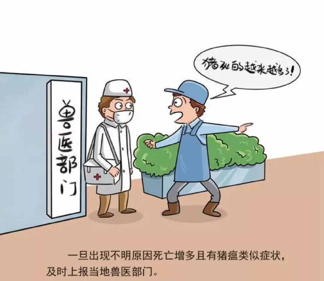 最新疫情出现第,最新疫情出现之际的温馨日常故事