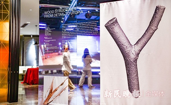 最新大学疫情爆发背后的温馨日常故事与启示