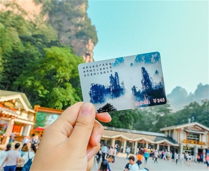自然探索之旅