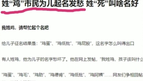 最新沙雕句子，小巷深处的神秘乐园的欢乐语录