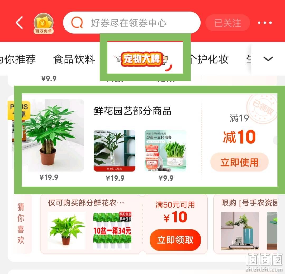秋葵app最新下载及小巷深处的特色小店探秘揭秘