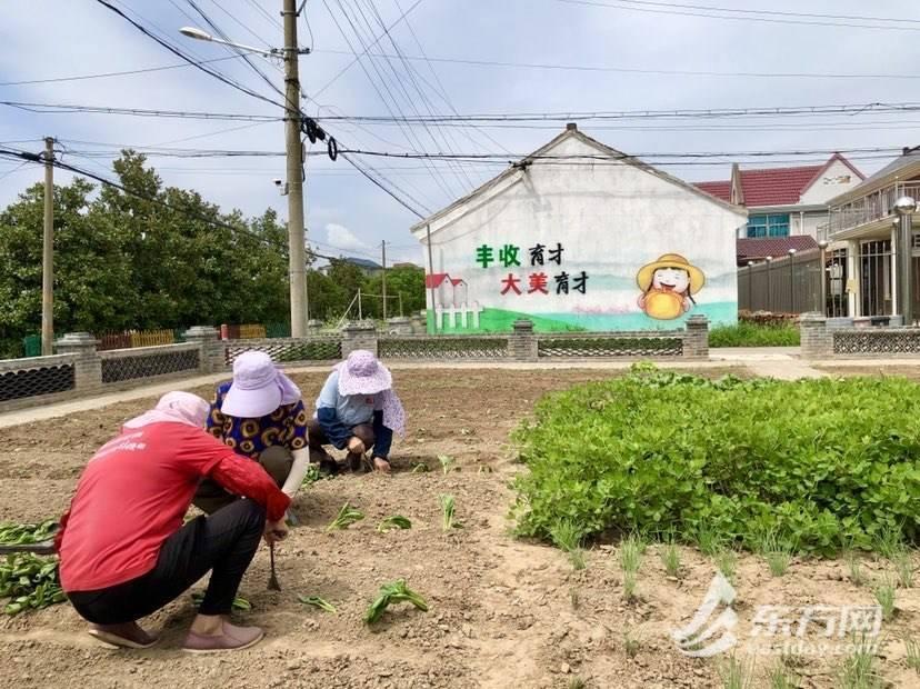 广东台风直播，科技引领前沿，实时传递风暴动态