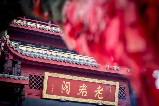 福城宫最新日常，友情与陪伴的温暖时光