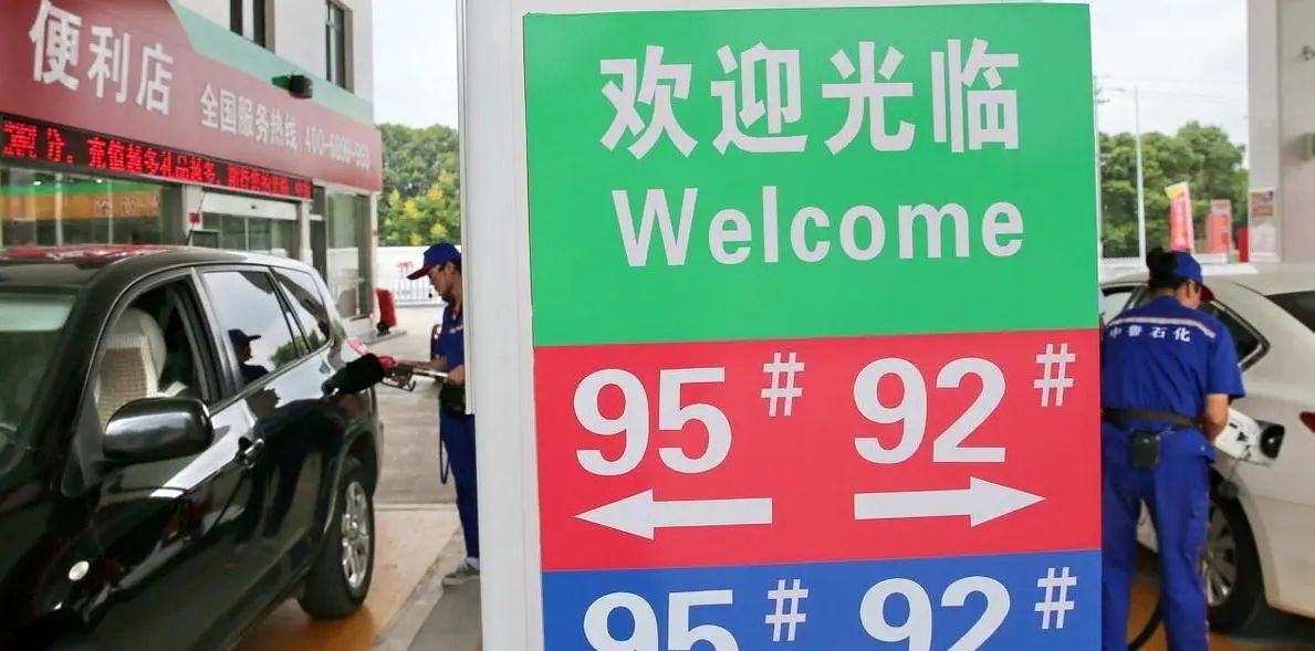 最新水稳站日常趣事概览