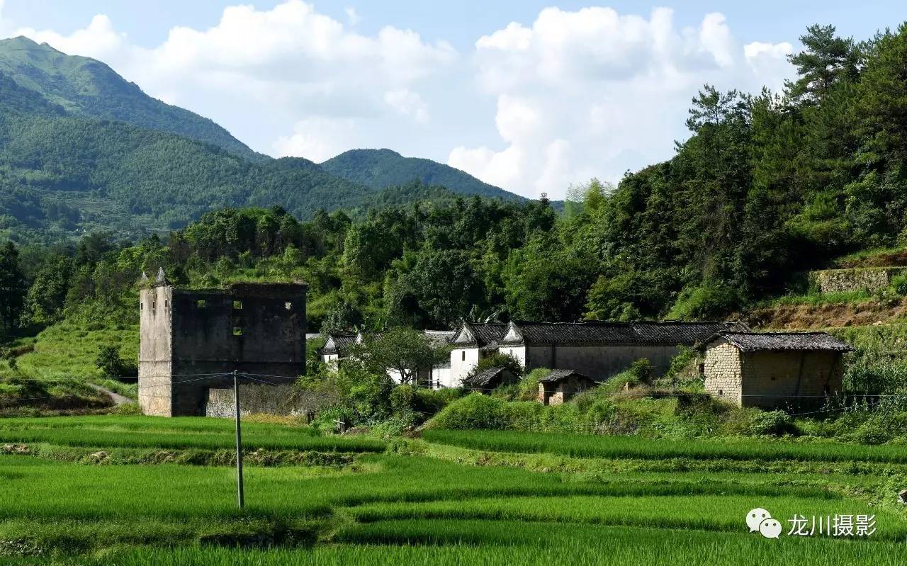 敦坊村最新探索之旅，自然美景的迷人之旅