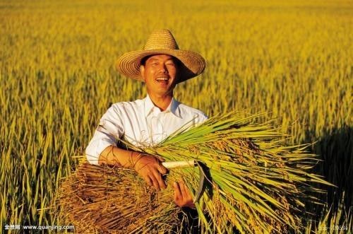 最新型农民，时代背景下的新农民形象