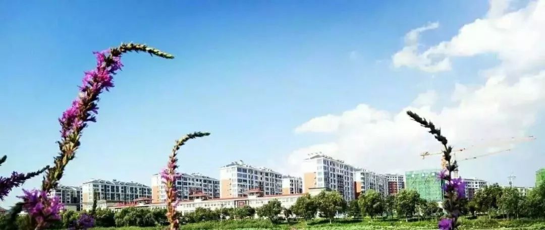 沂源贴吧最新热点话题与活跃社区探讨