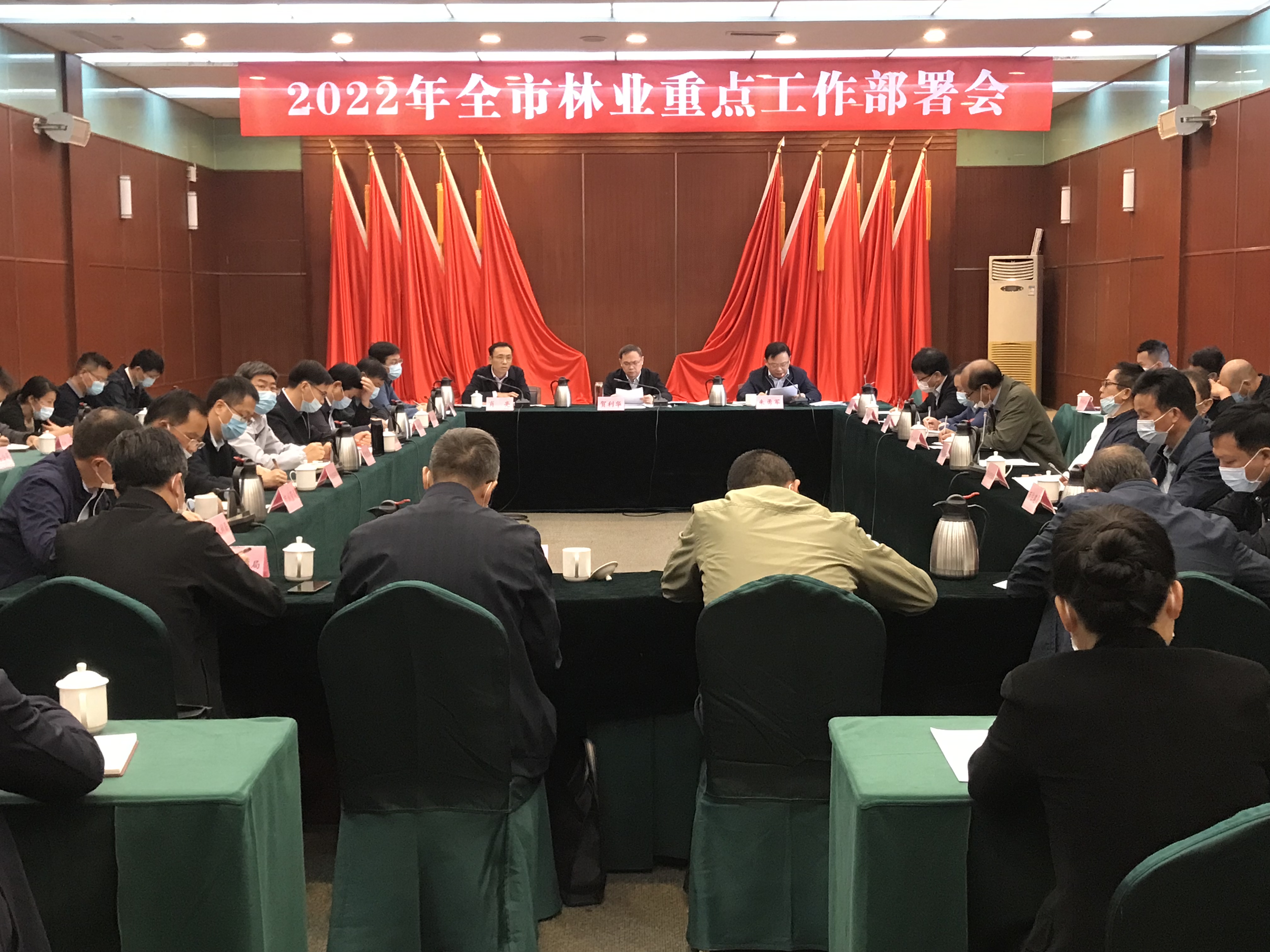林业局最新动态，推动生态林业发展，共创绿色未来