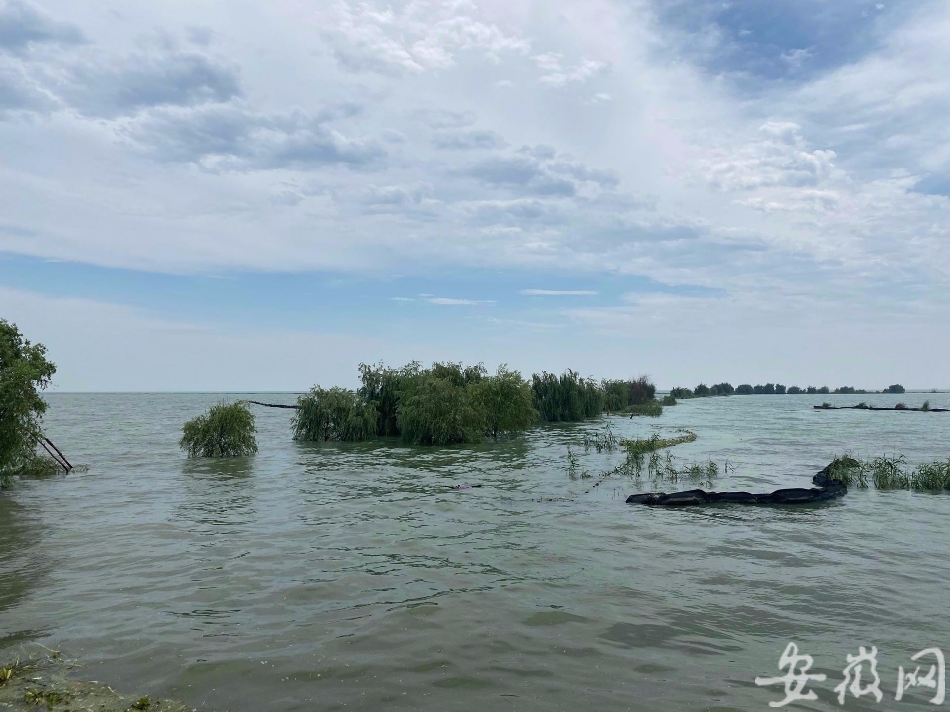 巢湖最新水位动态更新🌊🔍