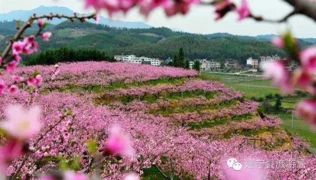 小阿枫最新探险日志，自然美景之旅，探寻内心桃花源