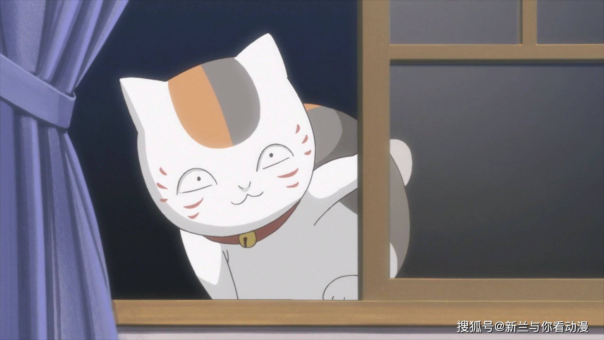 动漫猫名字大揭秘，独特且富有创意的猫咪命名探索🐱✨