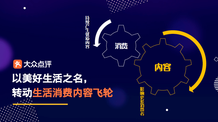 最新网域，探索知识海洋，启航梦想之旅