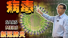 病毒最新实报，探索大自然美景，共同抗击疫情之旅