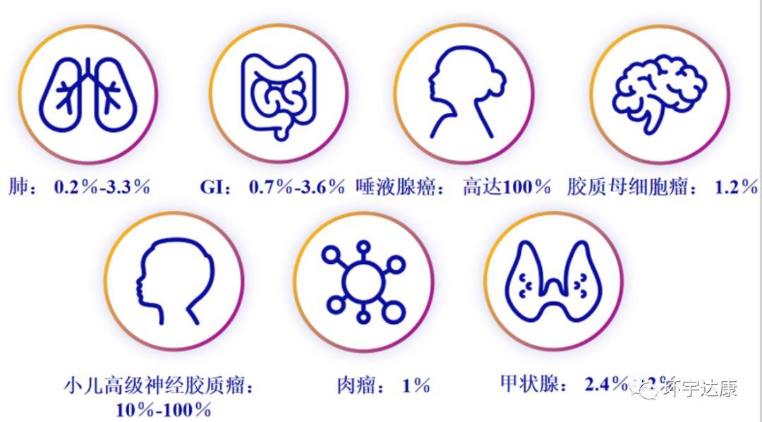 东风悦达起亚K2治愈之旅启程，探索自然美景的新启程