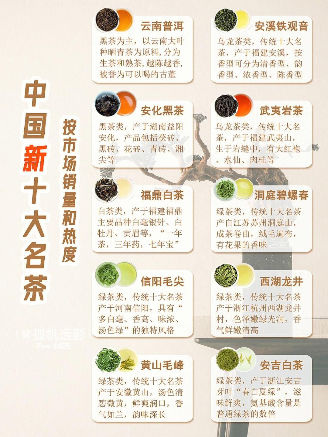 中国十大名茶最新排行榜，探寻内心平静的茶旅之旅