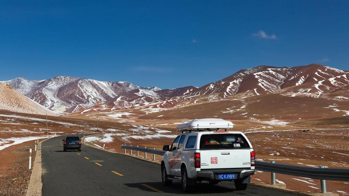 探寻自然秘境，揭秘30头三七的奇妙之旅与价格揭秘