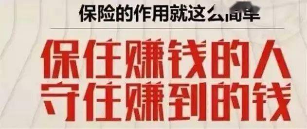 深度解析，上市公司财富积累之路，探究其资金雄厚的来源与原因。