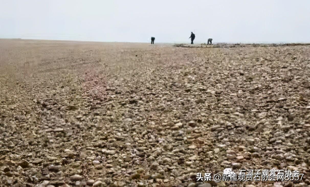 白色金丝玉，小巷深处的宝藏，价格究竟如何？