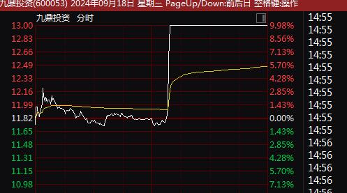 深度探究，000676股票的背景、重要事件与地位分析