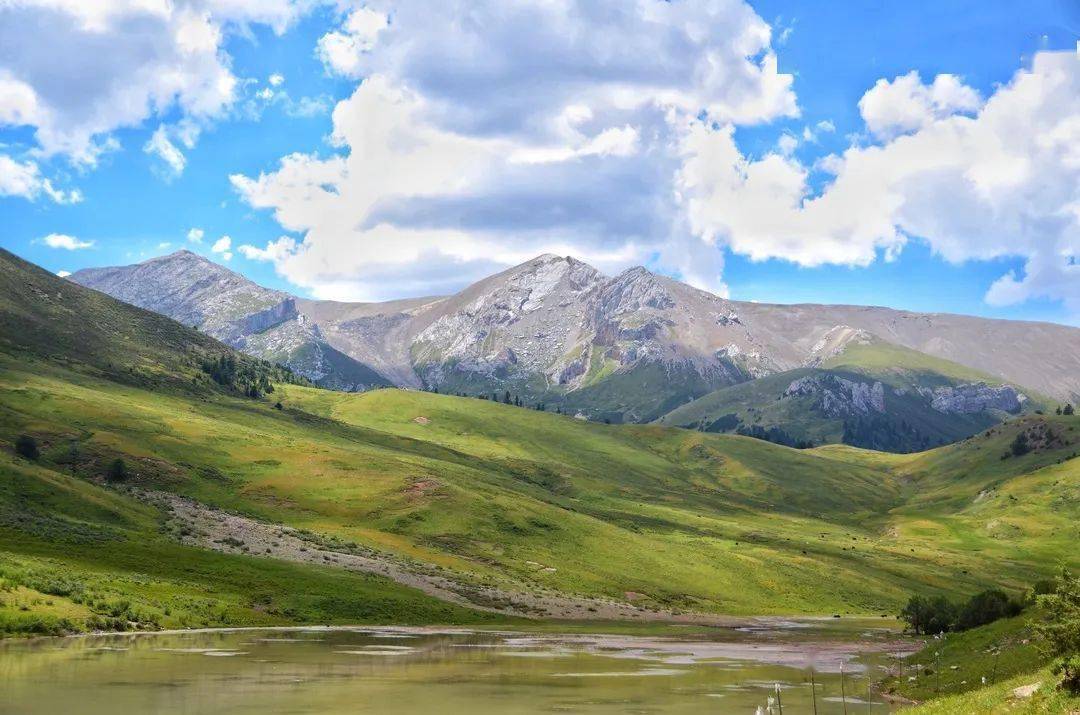最新电视剧，探索自然美景之旅，寻找内心平和的旅程