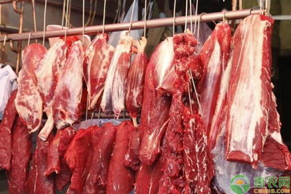 最新猪肉价格动态，观点分析及其对市场的影响