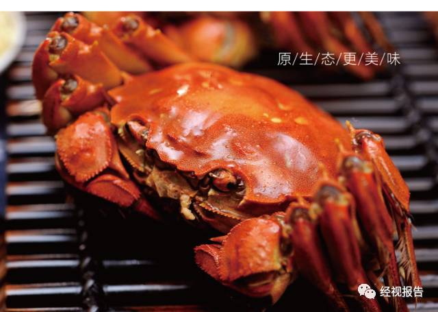 阳澄湖大闸蟹上市时间及观点阐述揭秘