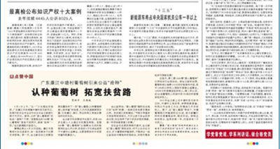 塘沽最新大案深度探究与案例分析揭秘