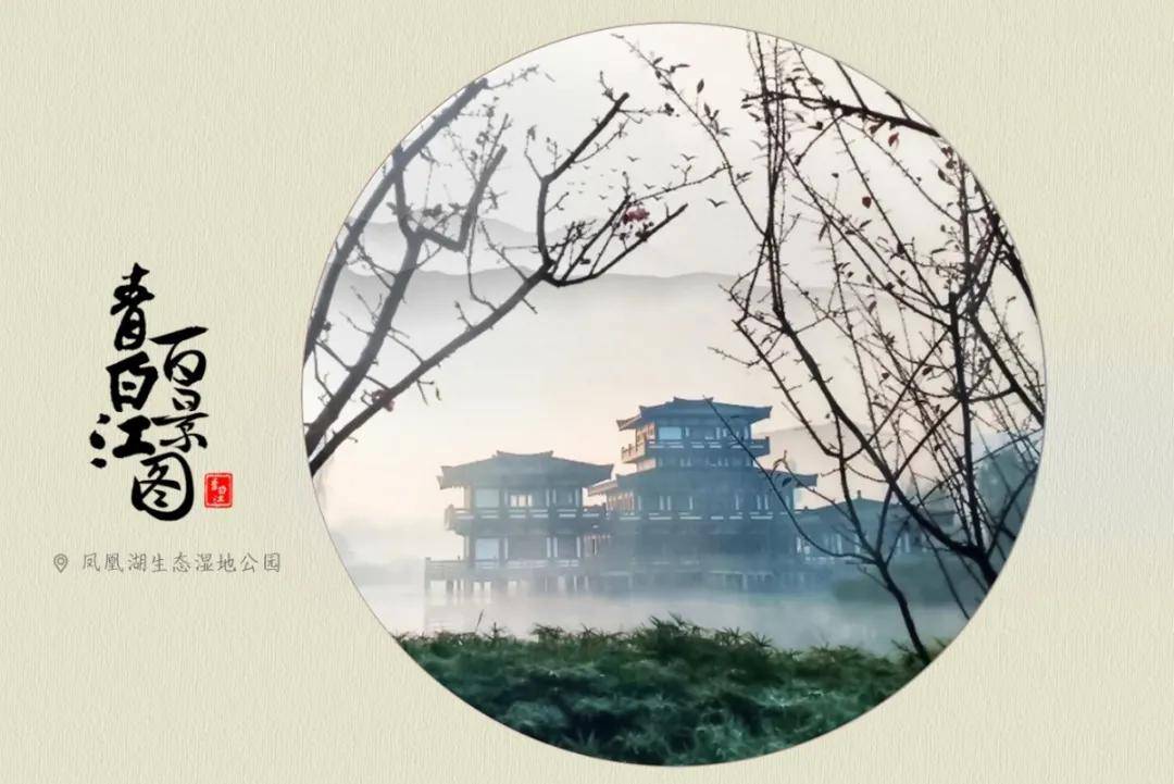 成都青白江最新动态，探索自然美景之旅，寻觅内心平和的旅程