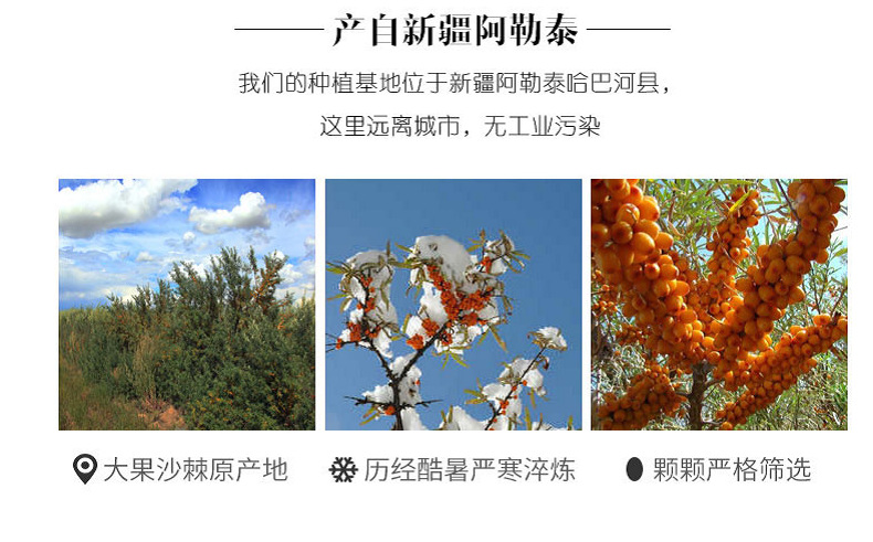 沙棘原浆探寻记，价格变迁与故事揭秘