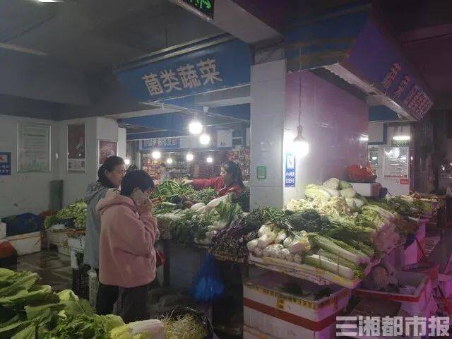 湖南冬瓜市场价格的探索之旅