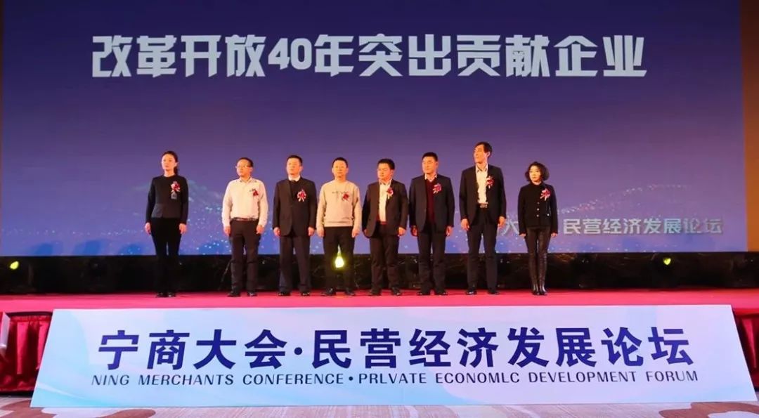 宁思专最新资讯揭秘，重磅更新一网打尽！