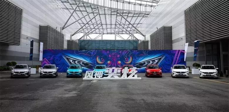风神最新曝光图详解及步骤指南