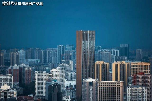 毛冬青茶叶价格全面解析，购买指南与市场价格参考