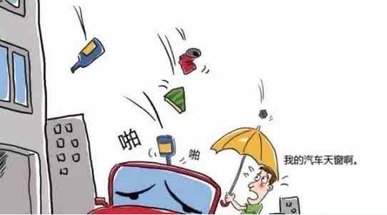 台风苗柏最新动态更新，实时追踪与预警通知