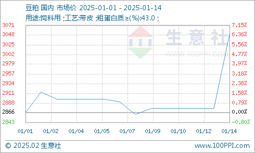 豆白价格行情深度探讨与分析