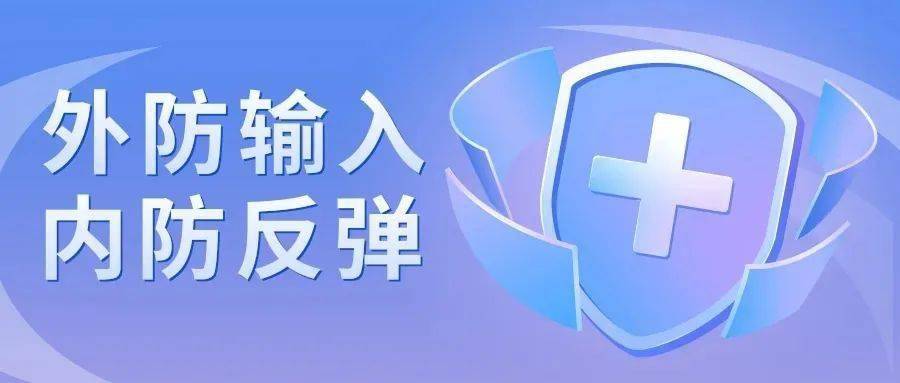 东北疫情最新动态与步骤指南概览