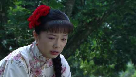 围屋里的桃花演员阵容及角色深度解读