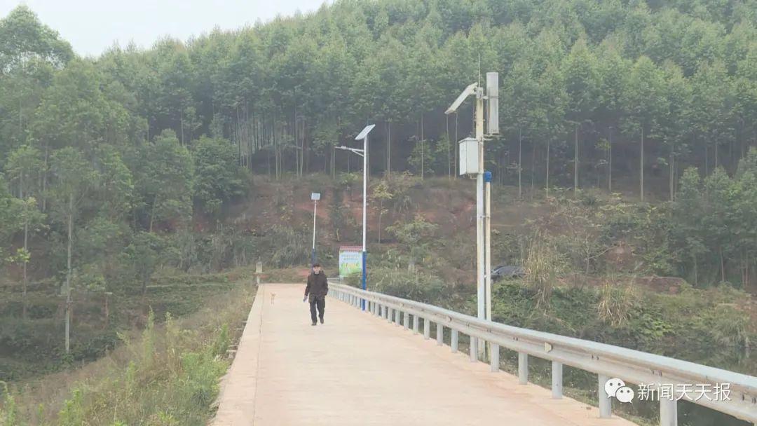 乐山高新区最新规划，探索自然美景之旅，寻求内心平和宁静的旅程