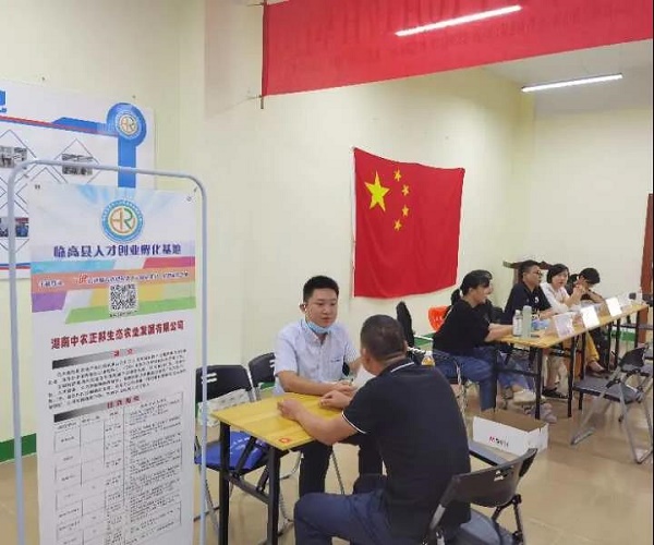 临高县最新招聘信息，科技驱动未来，工作生活同步升级
