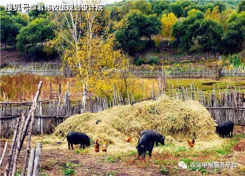 禁养区最新动态，拥抱自然美景的轻松之旅