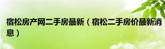 宿松二手房最新动态，科技引领交易进入智能时代