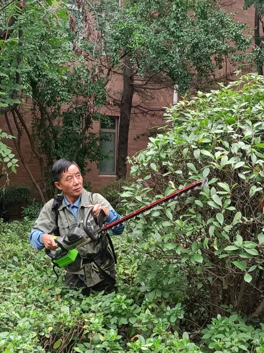 最新久草在线，绿色生活三大要点探索