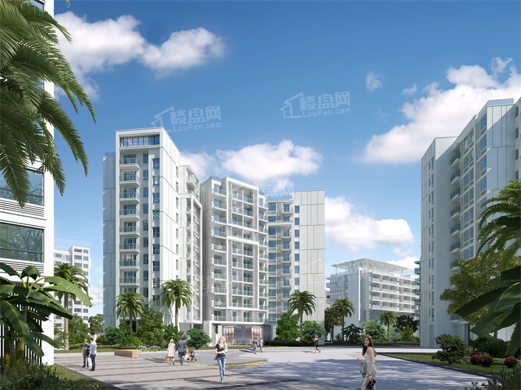 乐东楼盘最新价格及动态分析概述