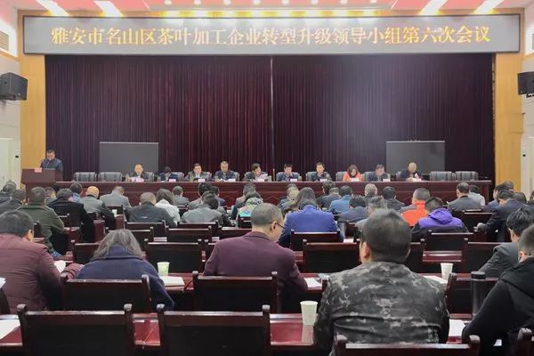 沧州最新人事任免重塑地方领导格局，一批新领导亮相