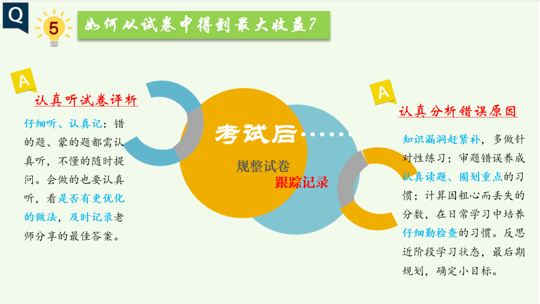 最新种子搜索网站，背景、历程与地位的探索