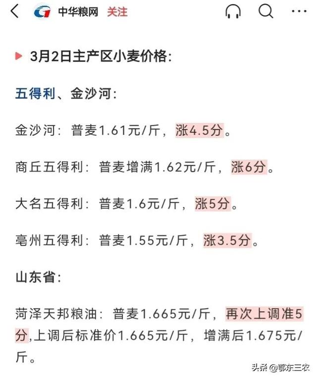 最新行情动态